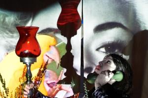 Birds Confereance lamp