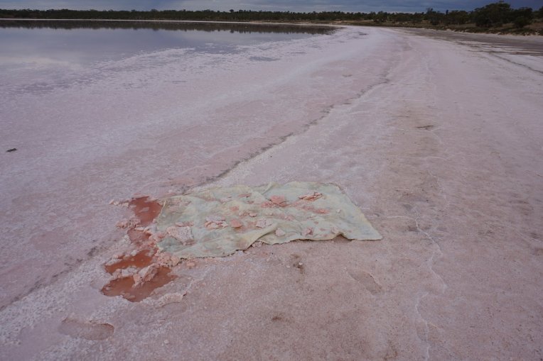 Music with Intermission